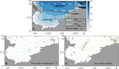 HSI model for early life stages of anchovy considering transport processes in Laizhou Bay